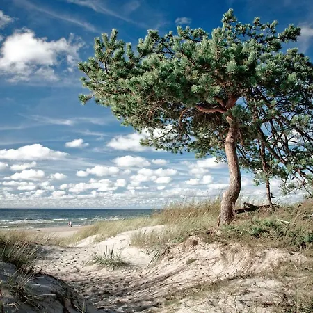 Apartment Pas Stanislava Palanga